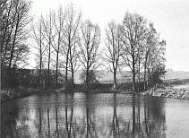 Bild © Roland R. Noetzelmann